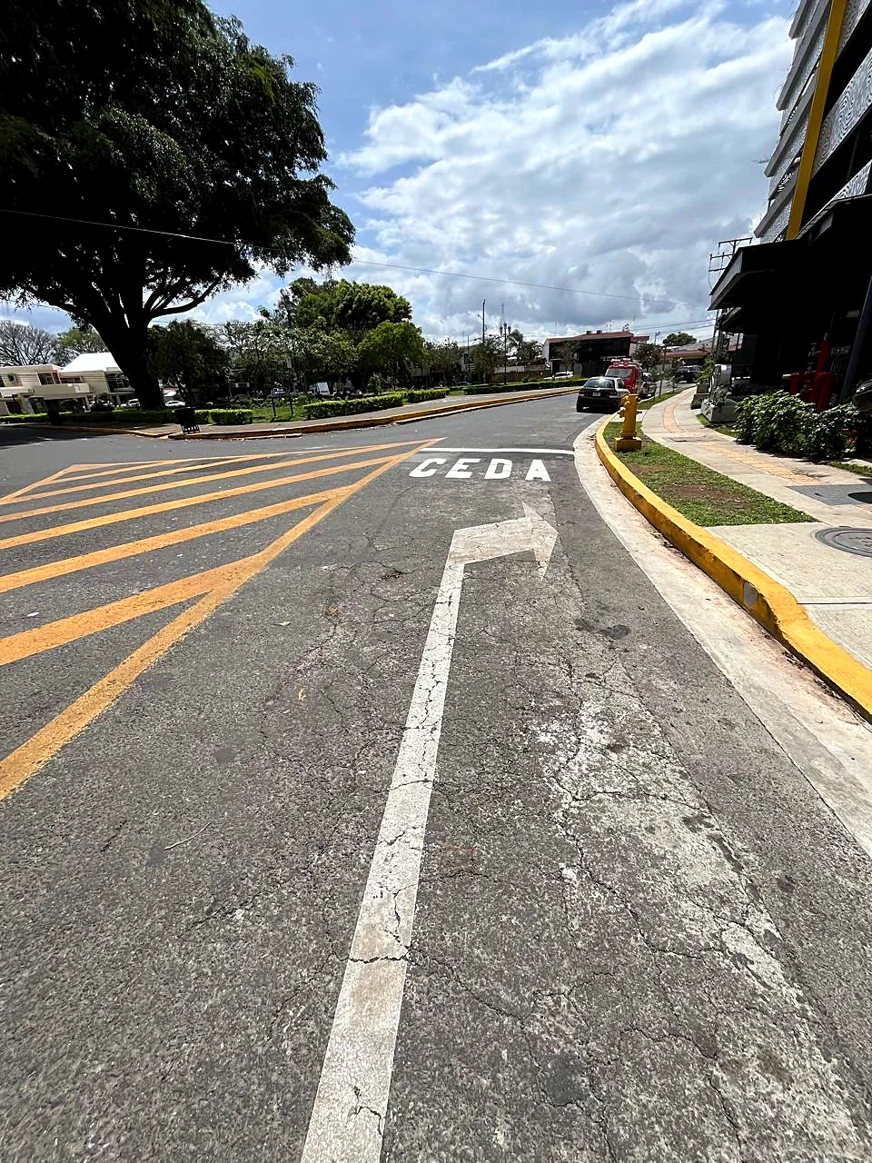 Antes: flecha agrietada y zona amarilla desgastada junto al CEDA, sector de Escalante